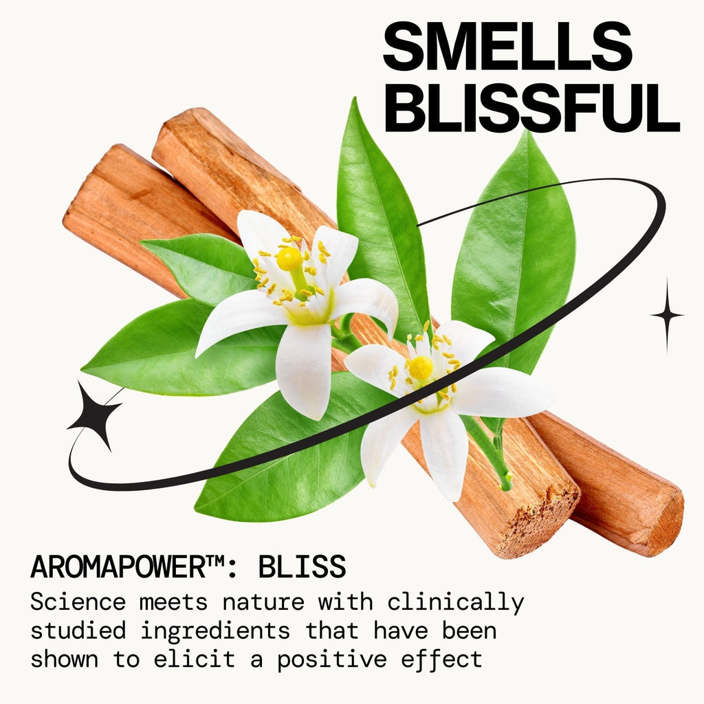 Beach Day Spray Perfume